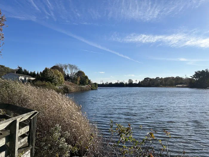 Alvarez Painting and Restoration LLC Picture 5