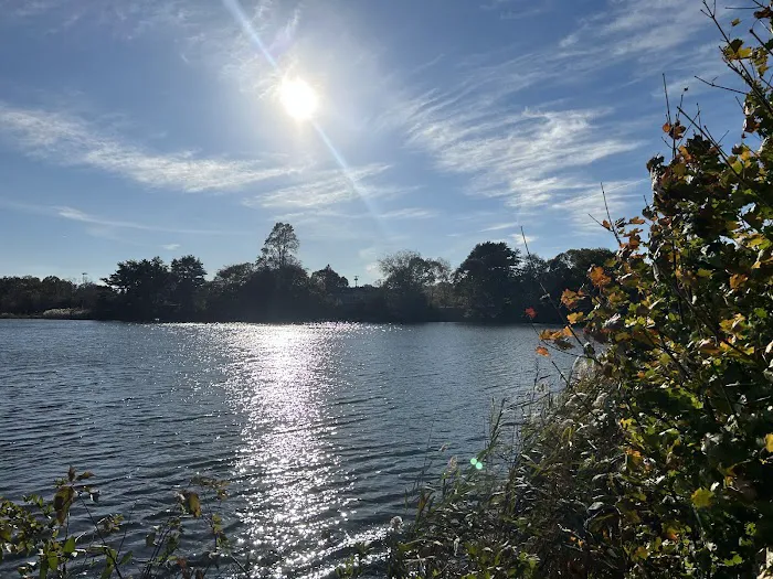 Alvarez Painting and Restoration LLC Picture 7