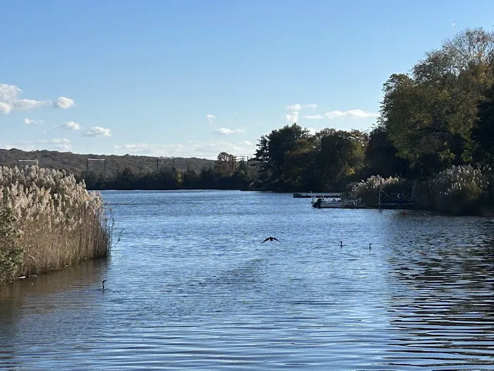 Alvarez Painting and Restoration LLC Picture 8