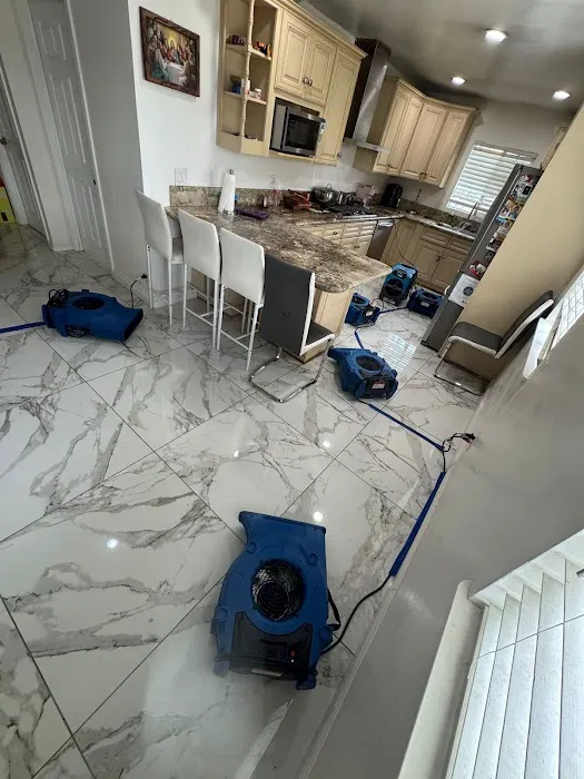 Rapid Response Restoration Picture 7