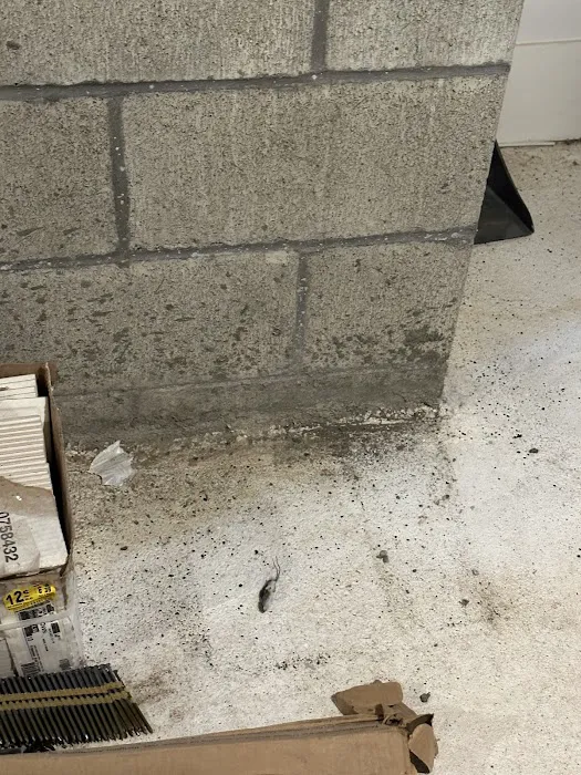 A-1 Maintenance and Cleaning Picture 6