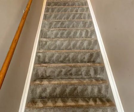 Elite Clean Steamers