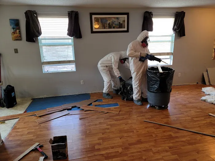 Elite Clean Steamers Picture 4