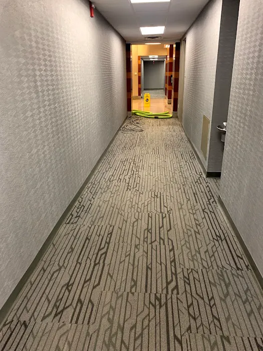 Elite Clean Steamers Picture 8