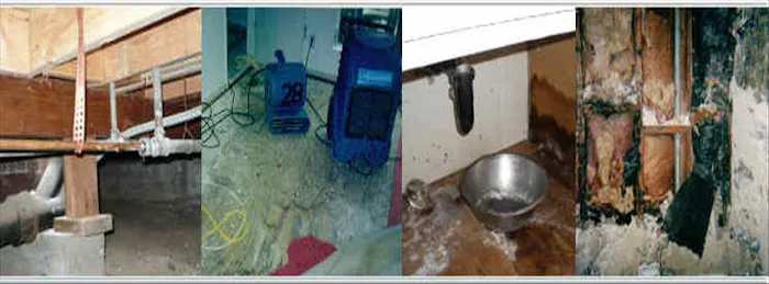 A Mitigation Inc Picture 10