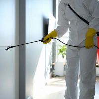Mold Remediation Los Angeles ico