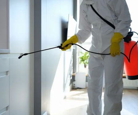 Mold Remediation Los Angeles