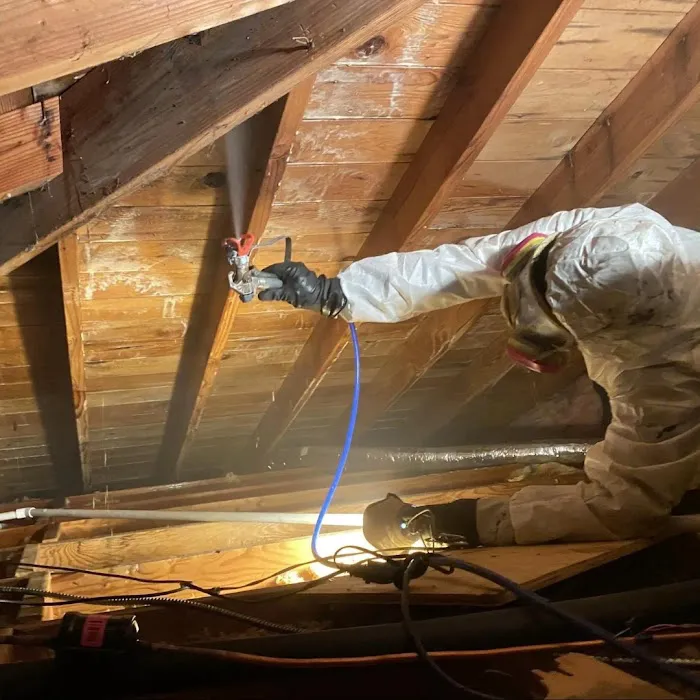 Mold Remediation Los Angeles Picture 5