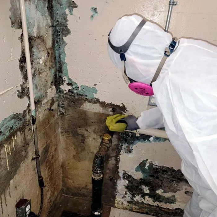 Mold Remediation Los Angeles Picture 8
