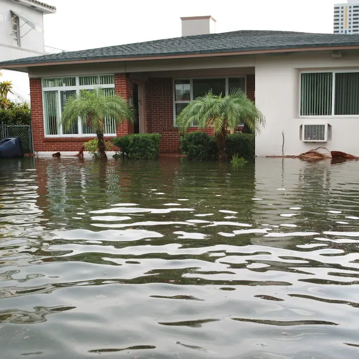 Mold Remediation Los Angeles Picture 7