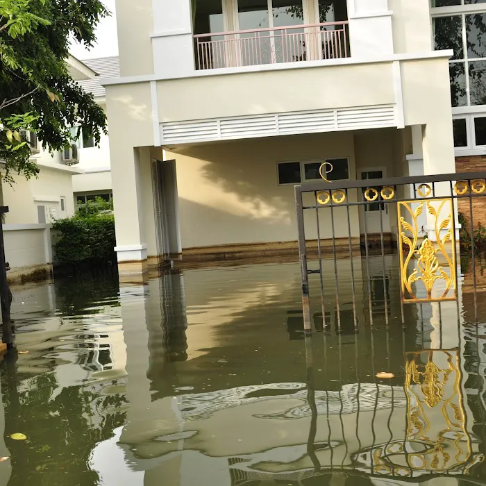 Mold Remediation Los Angeles Picture 3