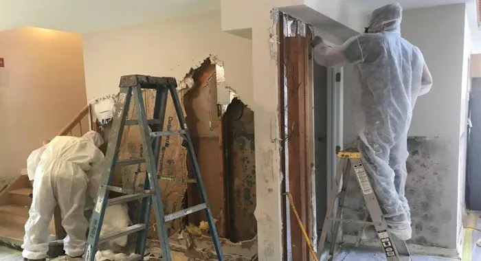 Mold Remediation Los Angeles Picture 2