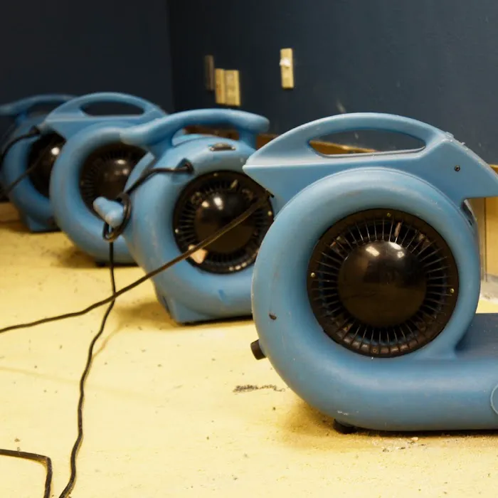 Mold Remediation Los Angeles Picture 9