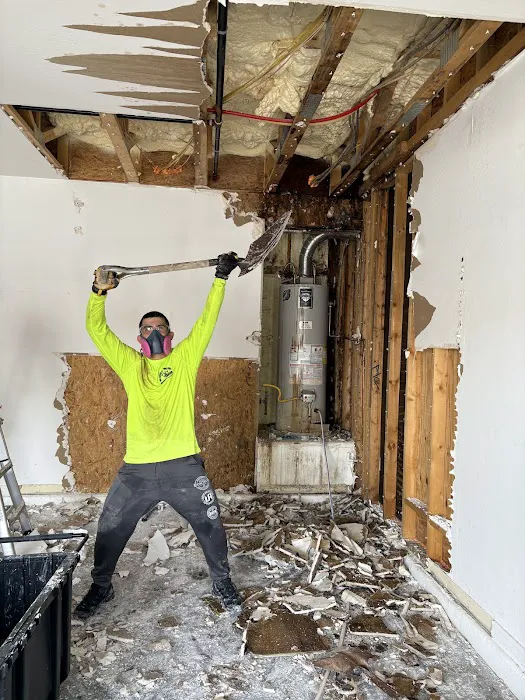 NO GEEK OFF THE STREET RESTORATION Picture 4