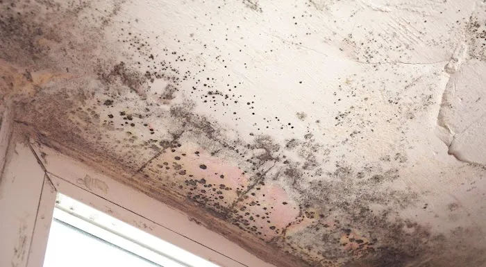 Pure Environmental Inc Picture 5