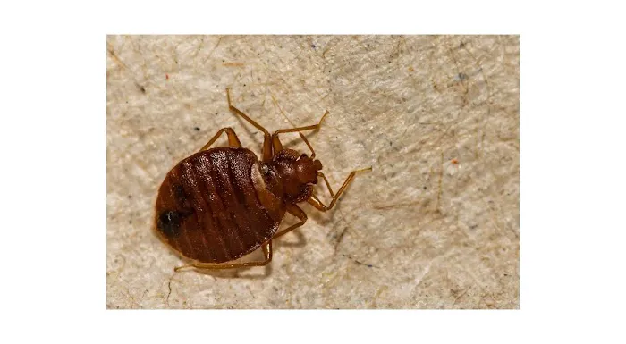 Pure Environmental Inc Picture 9