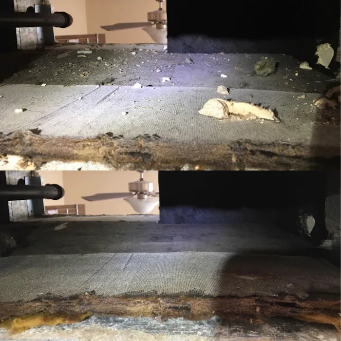 Carpet Care Cleaning & Restoration Picture 7