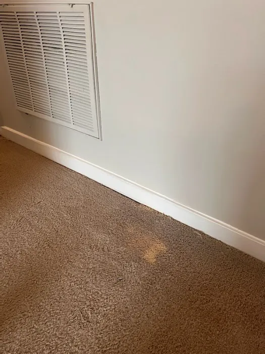 Carpet Care Cleaning & Restoration Picture 5