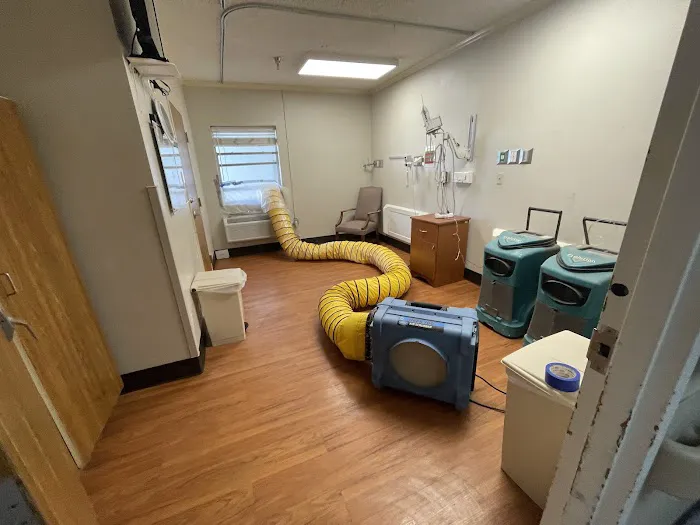 Delta Restoration Picture 4