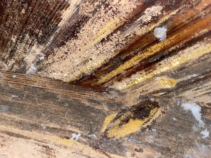 Delta Restoration Picture 8