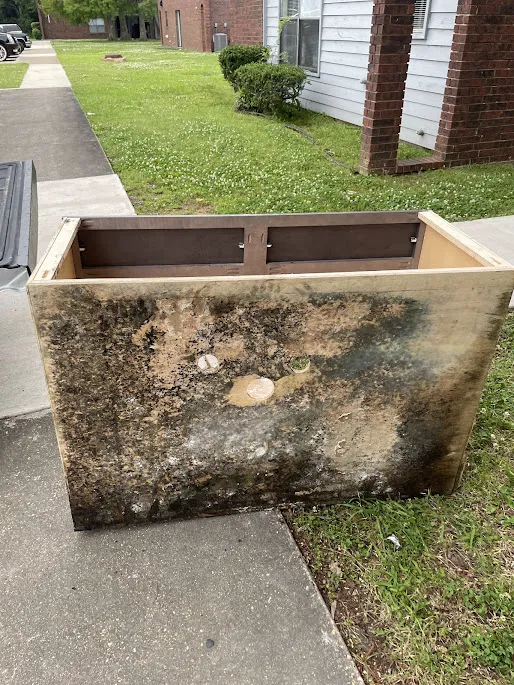 Delta Restoration Picture 6