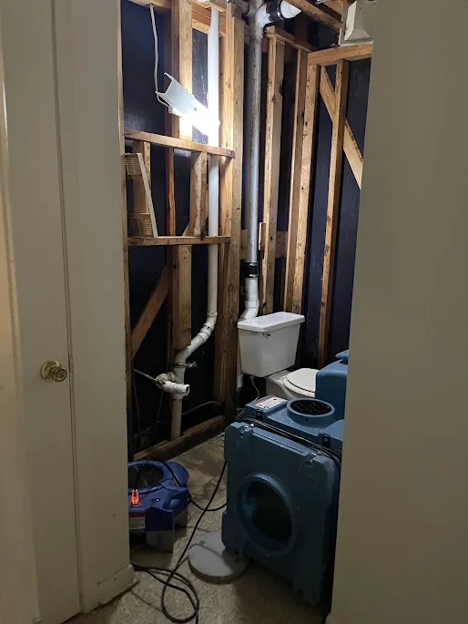 Delta Restoration Picture 3