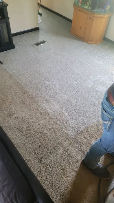 Stanley Steemer Picture 5