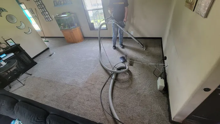 Stanley Steemer Picture 7