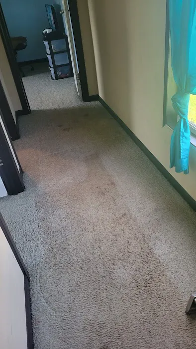 Stanley Steemer Picture 4