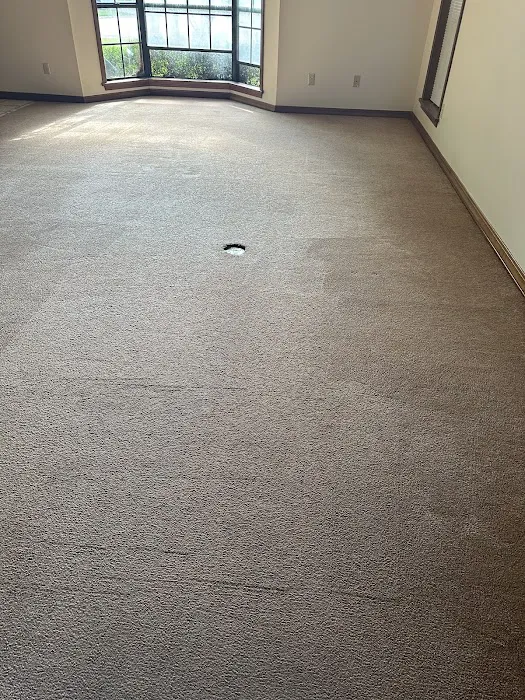 Stanley Steemer Picture 6