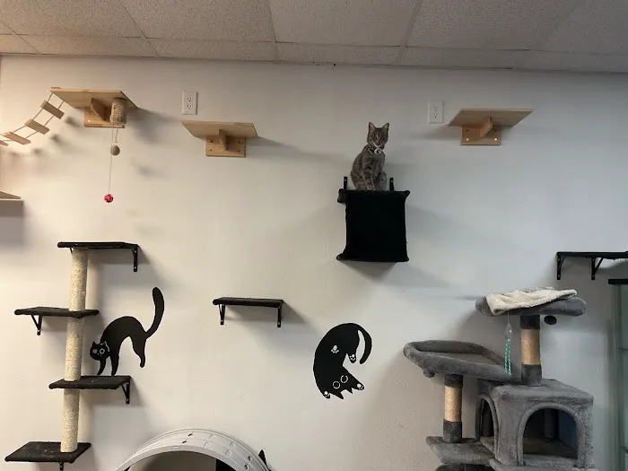 On The Geaux Repair Picture 8