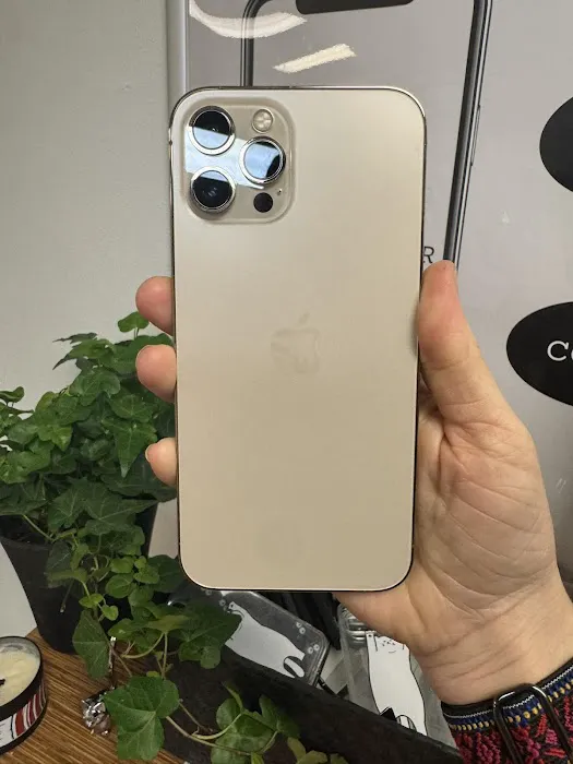 On The Geaux Repair Picture 9