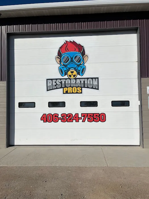 Restoration Picture 2