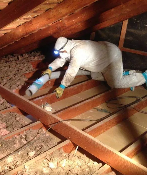 Treasure State Picture 5