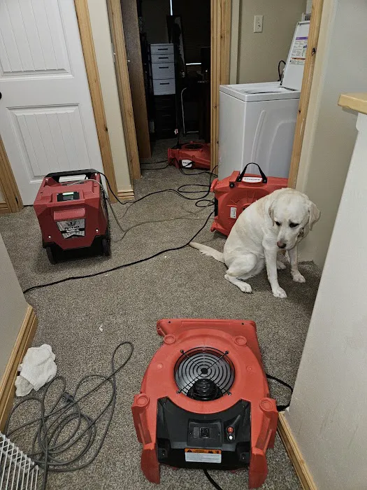 Rainbow International of Helena Picture 8