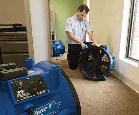 Rainbow International of Bozeman