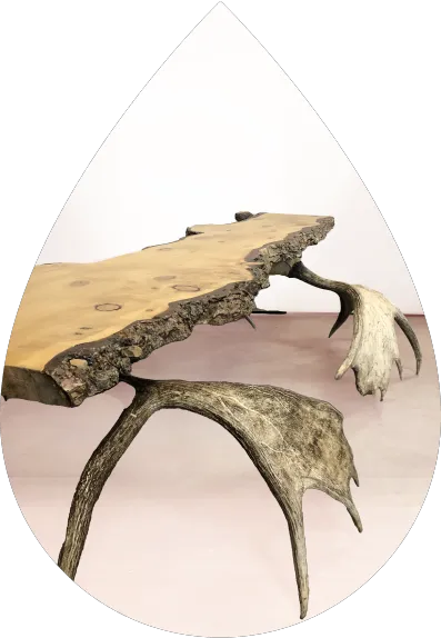 Revitalized Restoration Picture 3