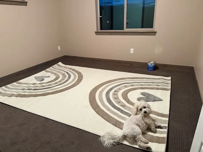 The Ladder Guys Painting Picture 2