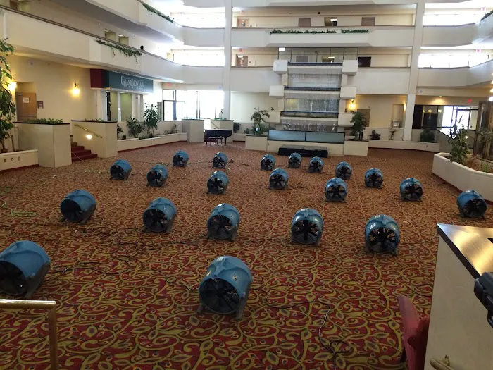 Alpha Omega Disaster Restoration Picture 8