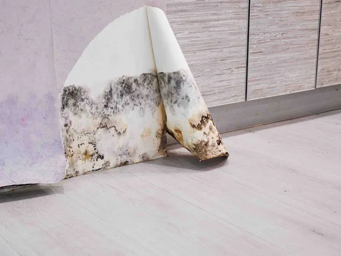 Mold Inspection Services, Inc Picture 6