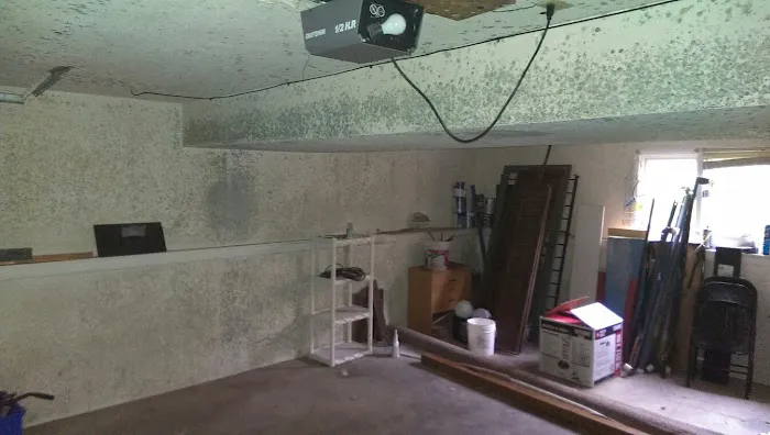 Mold Inspection Services, Inc Picture 4