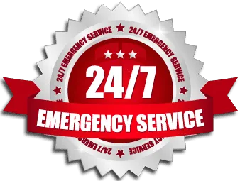 Mold Inspection Services, Inc Picture 5