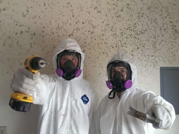 Mold Inspection Services, Inc Picture 2