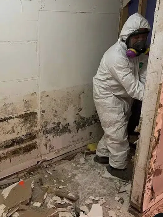 Disaster Cleanup and Restoration (DCR) Picture 3