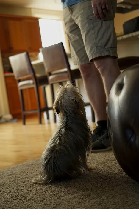 Billings Carpet Cleaning Picture 8