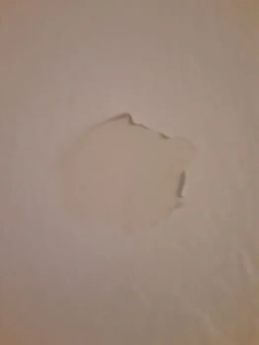 Big Phish Construction Picture 9