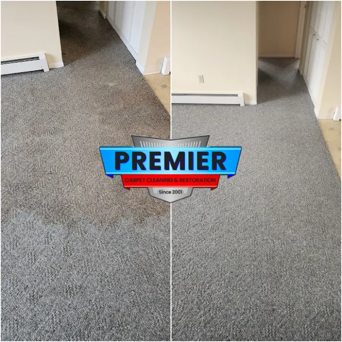 Premier Carpet Cleaning & Restoration Picture 9
