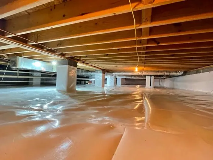 Premier Carpet Cleaning & Restoration Picture 7