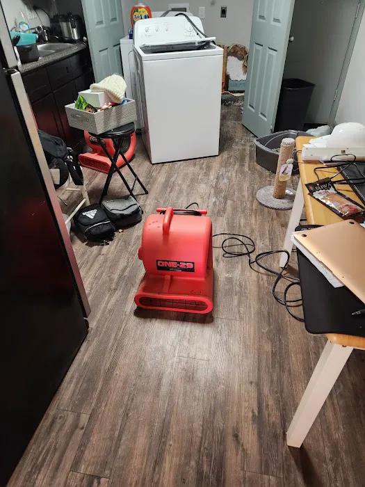 Wooldridge Floor Cleaning Picture 2