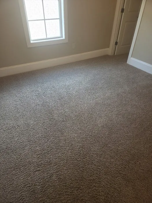 Wooldridge Floor Cleaning Picture 9